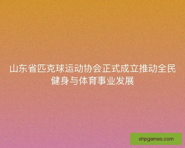 山东省匹克球运动协会正式成立推动全民健身与体育事业发展